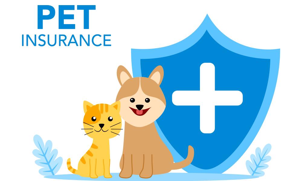 Pet Insurance coverage